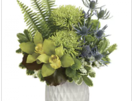 Celebrate Father’s Day with Floral Gifts, Plants, and More from Veldkamp’s Flowers!