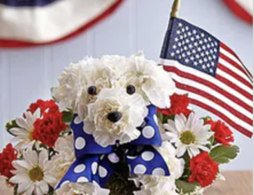 Time For Summer Celebrations and Independence Day Flowers