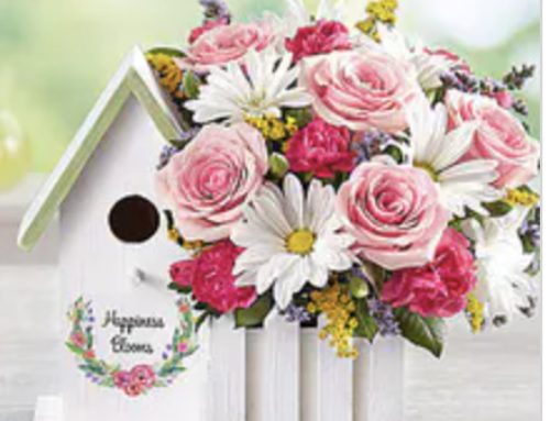 Veldkamp’s Summer Flower Specials are Waiting For You!