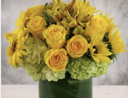 Send Flowers to Your Denver Friends on International Day of Friendship