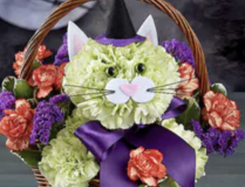How to Use Pumpkins, Flowers, and Fall Decor for Your Halloween Festivities
