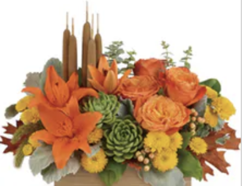 Veldkamp’s is Ready to Prepare You For Fall with Flowers, Plants, and Gifts