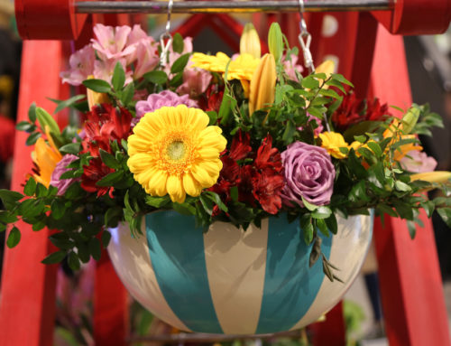 Veldkamps Flowers wishes you a Happy Thanksgiving and invites you to shop our lovely holiday centerpieces and gifts