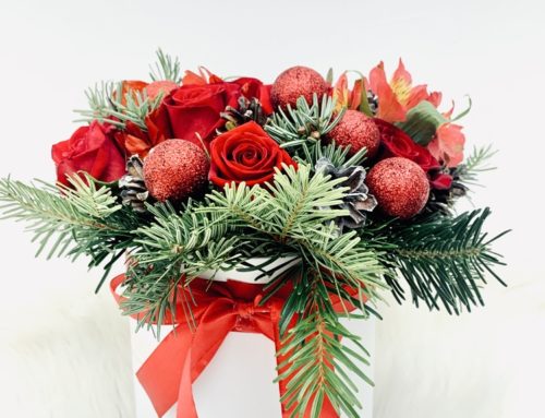 Veldkamp’s Flowers wishes you a very happy holiday season and invites you to shop with us for Exquisite Christmas Flowers and Gifts