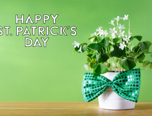 Purchase Saint Patrick’s Day Flowers at Veldkamp’s Flowers and be ready for the celebration