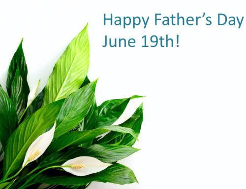 Earn Petal Reward Points When You Shop at Veldkamp’s Flowers for Father’s Day or any Occasion