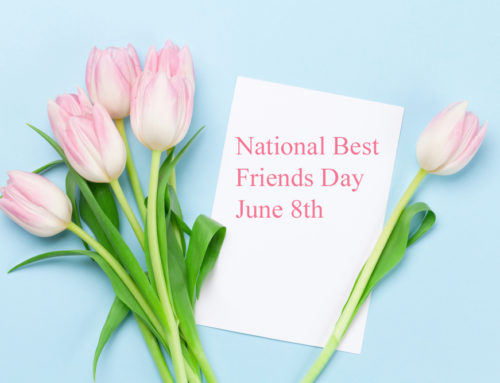 Shop with Veldkamp’s Flowers for Denver’s Premiere National Best Friends Day Flowers