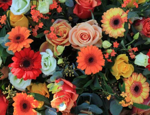 Veldkamp’s Flowers Offers Same Day Delivery of Stunning Cornucopia and Fall Flowers to Wheat Ridge Colorado