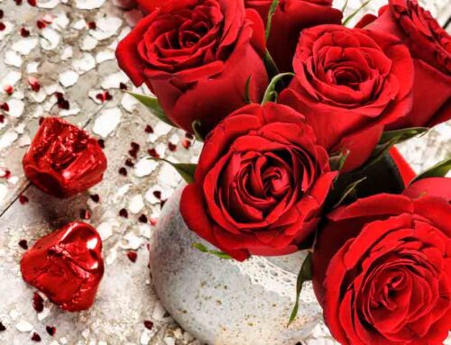 Valentine’s Day Roses in Denver are the best at Veldkamp’s Flowers. (See Valuable Multi-Purpose Discount Coupons Below)