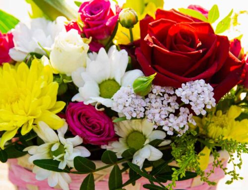 Browse Online and View our Stunning Mother’s Day Flower Bouquets. (Special Discounts Below)