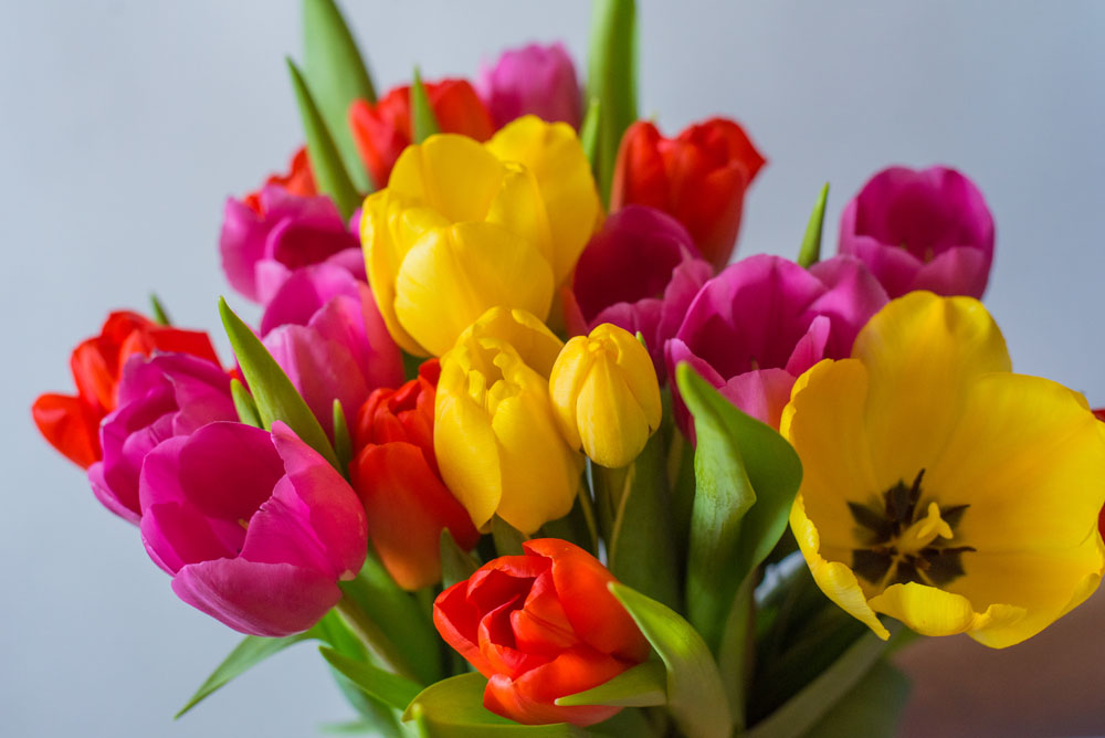 Teacher Thank You Flowers