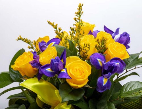 Send Our Fresh MLK Day Floral Products to Pay Special Honor to This Day!