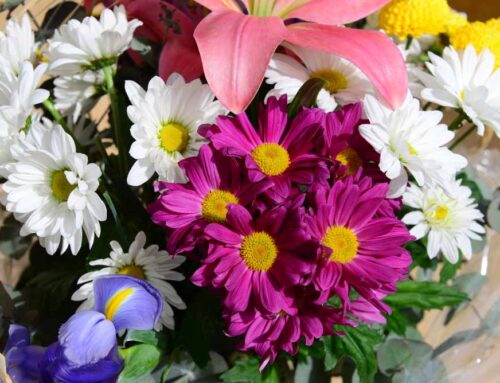 Shop with Us for Fresh Host Thank You Flowers and Use Blog Discounts to Save!