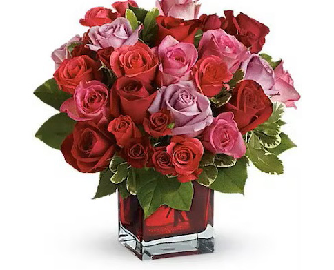 Valentines Gifts Roses