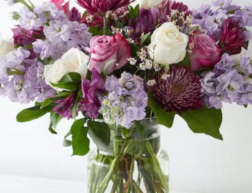 The Ultimate Guide to Graduation Flowers and Plants: Perfect Gifts for Every Graduate
