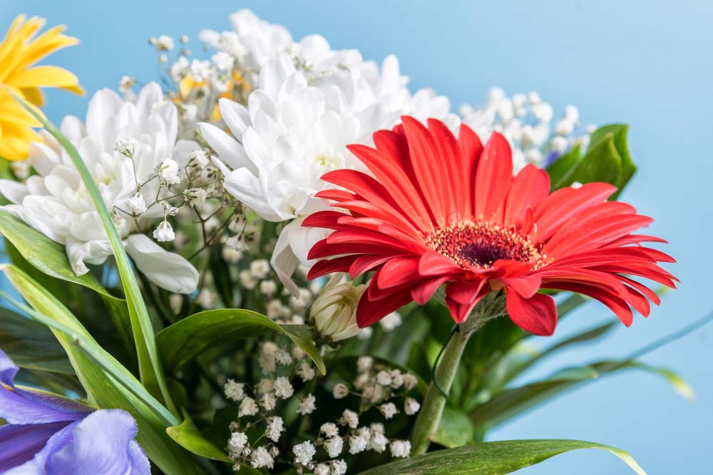 Veldkamp's Flowers Summer Themed Floral Arrangements