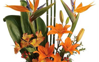 Veldkamp's Flowers Father's Day Floral Gifts Fresh Flowers, Gourmet Baskets, Succulent Plants