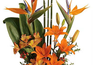 Veldkamp's Flowers Father's Day Floral Gifts Fresh Flowers, Gourmet Baskets, Succulent Plants