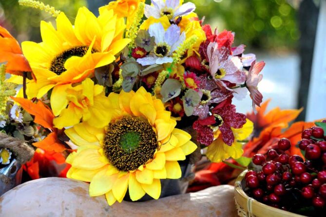 Veldkamp's Flowers Offers Gorgeous Autumn Flowers and Plants