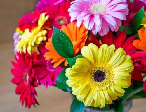 Veldkamp’s Flowers Provides Local Flower Delivery to Aurora Quest K-8