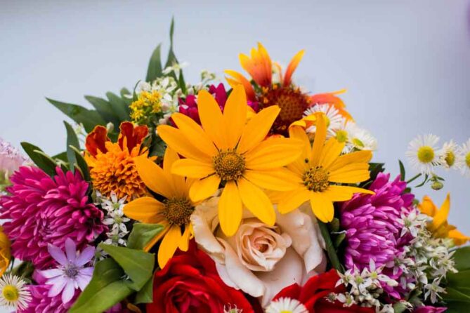 Veldkamp's Flowers offers Boulder Community Hospital Flower Delivery Services