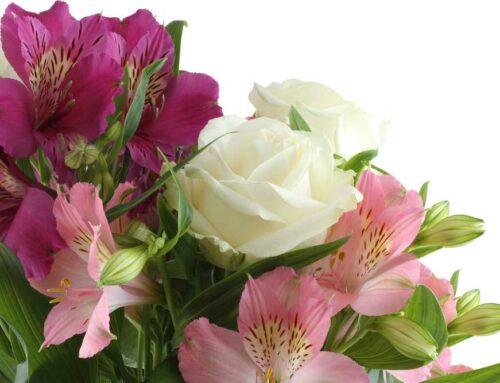 Darrell Howe Mortuary Flower Delivery for Veterans Day: Offered by Veldkamp’s Flowers