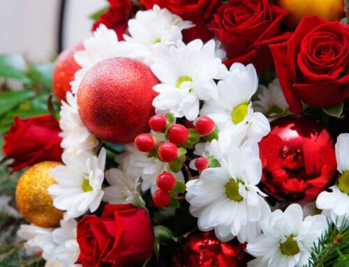 Wheat Ridge Colorado Flower Delivery of Beautiful Christmas and Hanukah Flowers Offered by Veldkamp’s Flowers