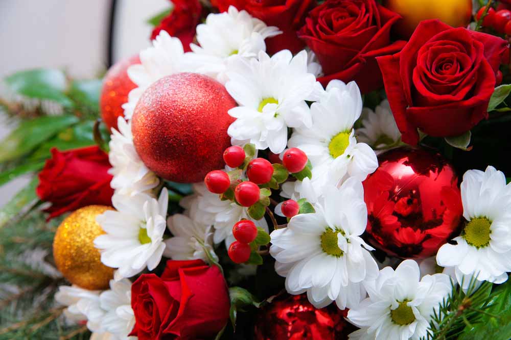 Veldkamp's Christmas and Hanukah Flowers