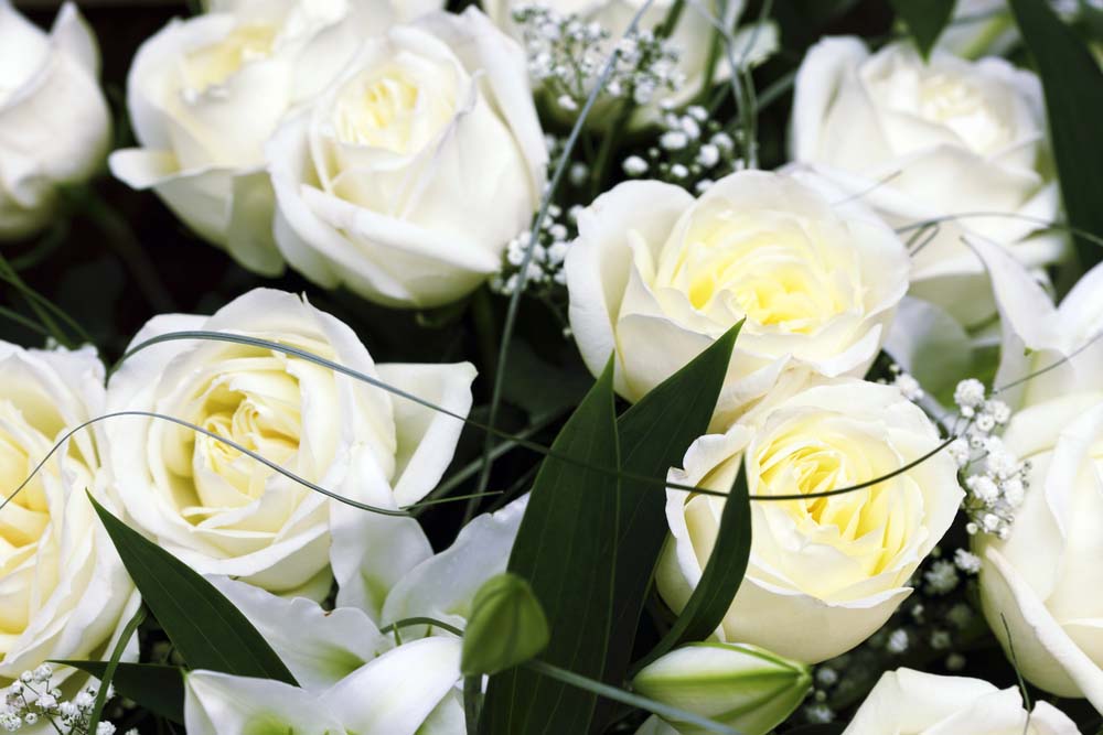 Veldkamp's Flowers offers perfect white roses for New Years