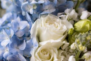 Veldkamp's Offers Winter Flowers