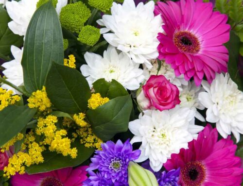 Sympathy Flowers Express Compassion and Support During Times of Loss