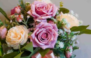 front view pinks and yellow rose flowers and green leaf on white background,