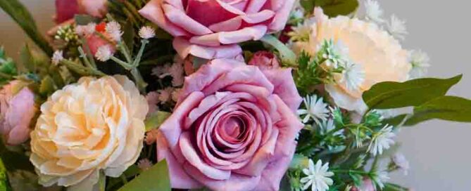 front view pinks and yellow rose flowers and green leaf on white background,