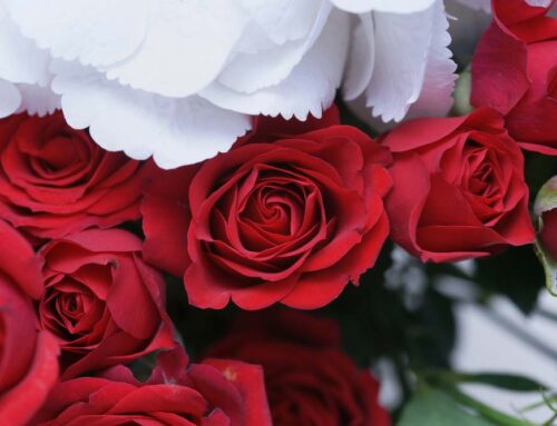 Valentine’s Day Flowers Delivered to the Office are Such as Delightful Surprise