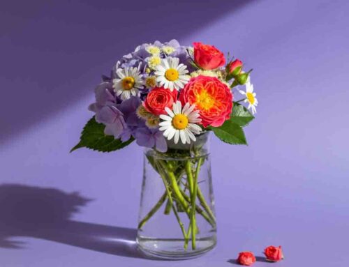 Stunning Summer Flower Arrangements Brighten any Occasion