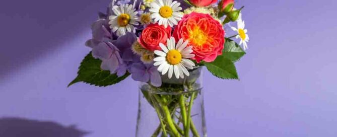 Summer Flower arrangement daisies, roses and hydrangea