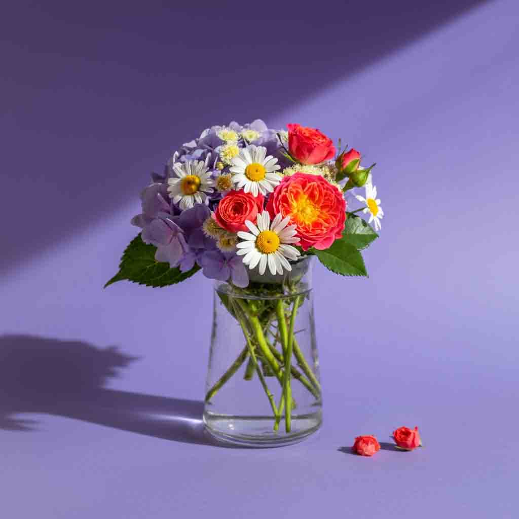 Summer Flower arrangement daisies, roses and hydrangea